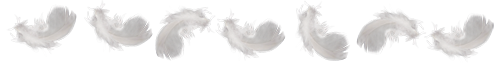 Mini Aussies Irresistible Angels divider bar 