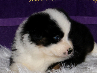 Look at that handsome face. He is stealing hearts from everyone he meets.